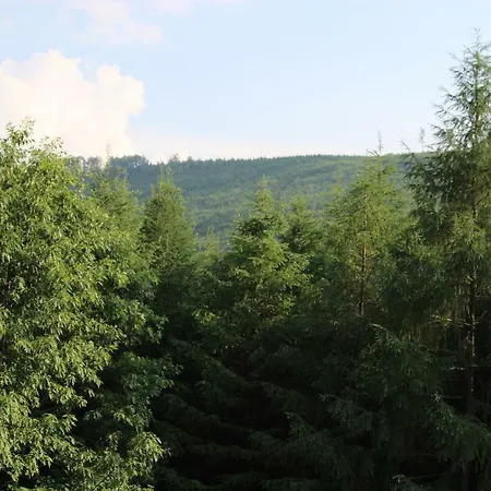 Na Wzgorzu *